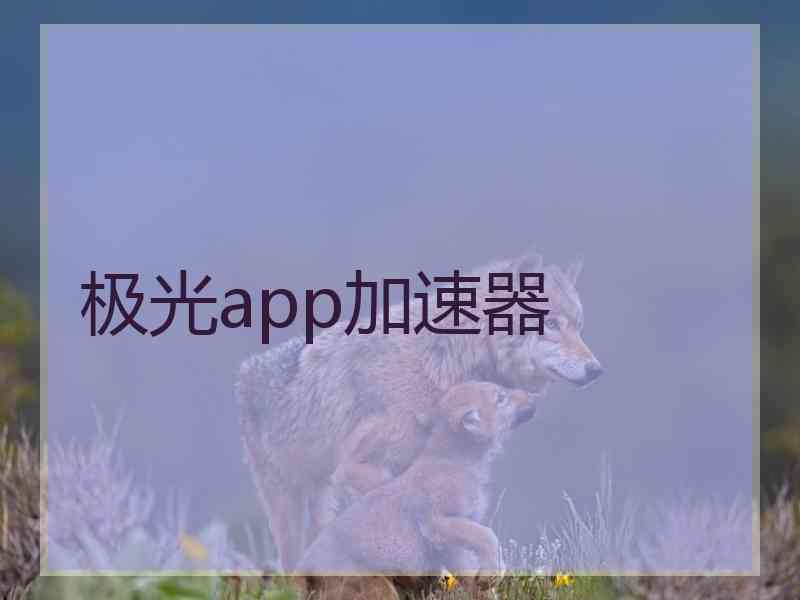 极光app加速器