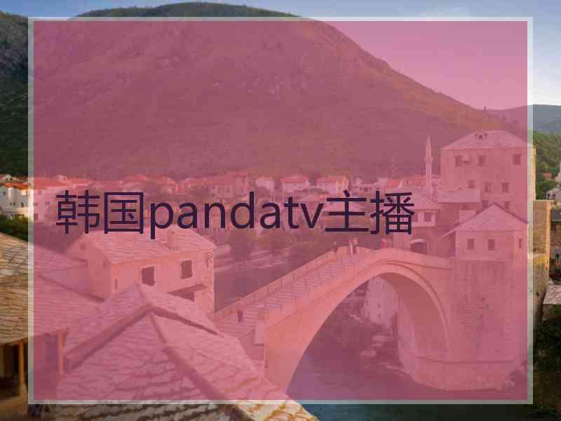 韩国pandatv主播