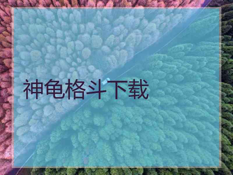 神龟格斗下载