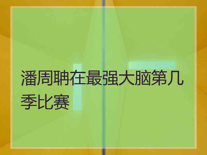 潘周聃在最强大脑第几季比赛