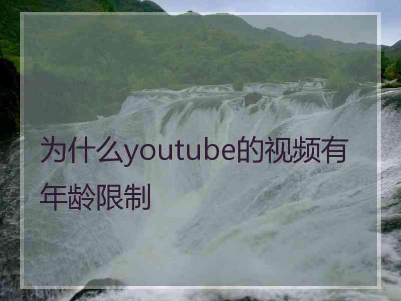 为什么youtube的视频有年龄限制