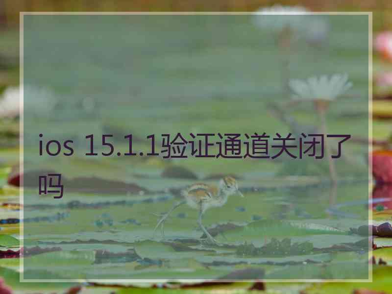 ios 15.1.1验证通道关闭了吗