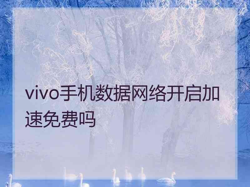 vivo手机数据网络开启加速免费吗