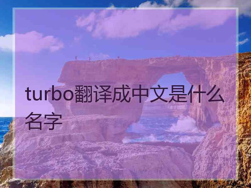 turbo翻译成中文是什么名字