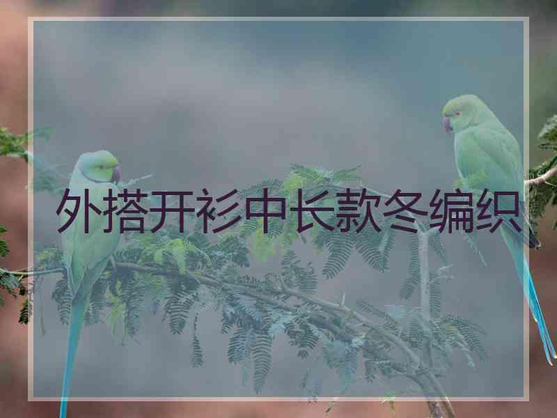 外搭开衫中长款冬编织