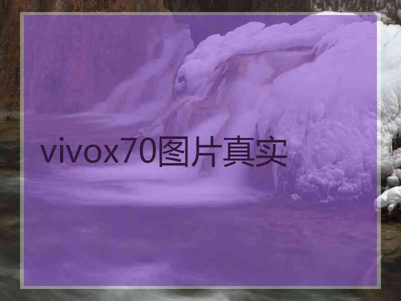 vivox70图片真实