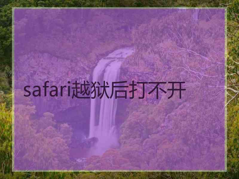 safari越狱后打不开