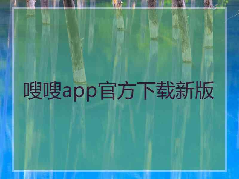 嗖嗖app官方下载新版