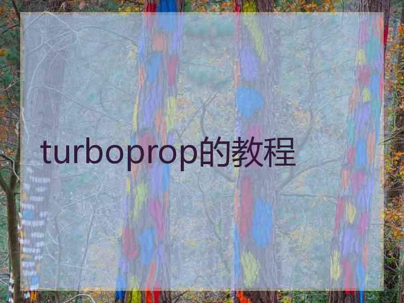 turboprop的教程