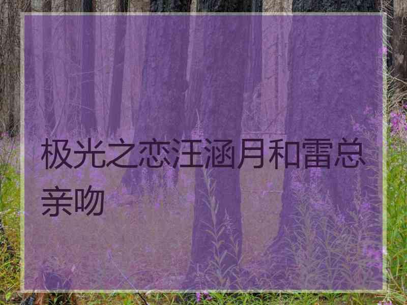 极光之恋汪涵月和雷总亲吻