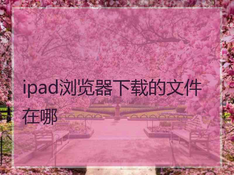 ipad浏览器下载的文件在哪