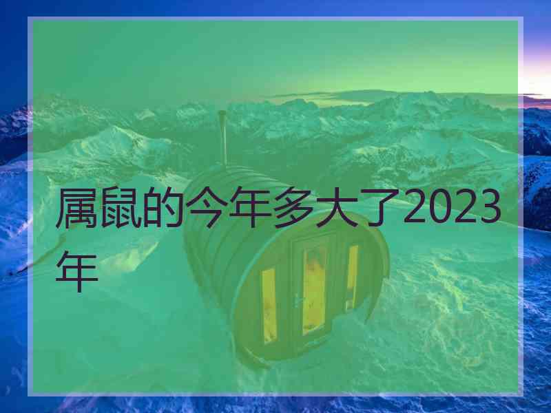 属鼠的今年多大了2023年