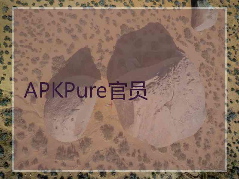 APKPure官员