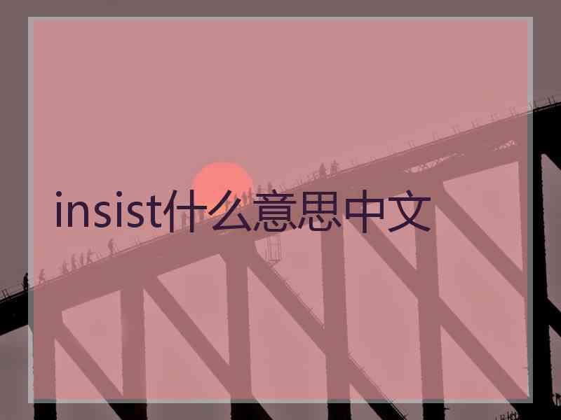 insist什么意思中文