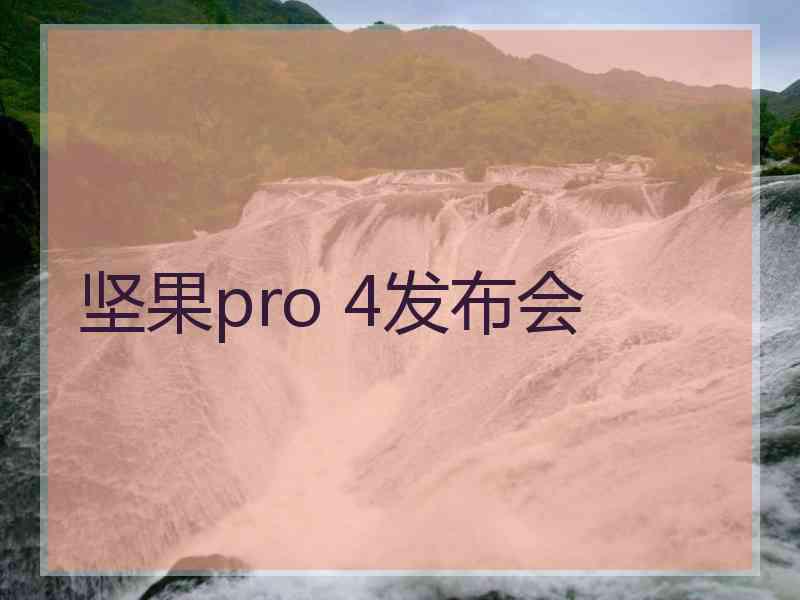 坚果pro 4发布会