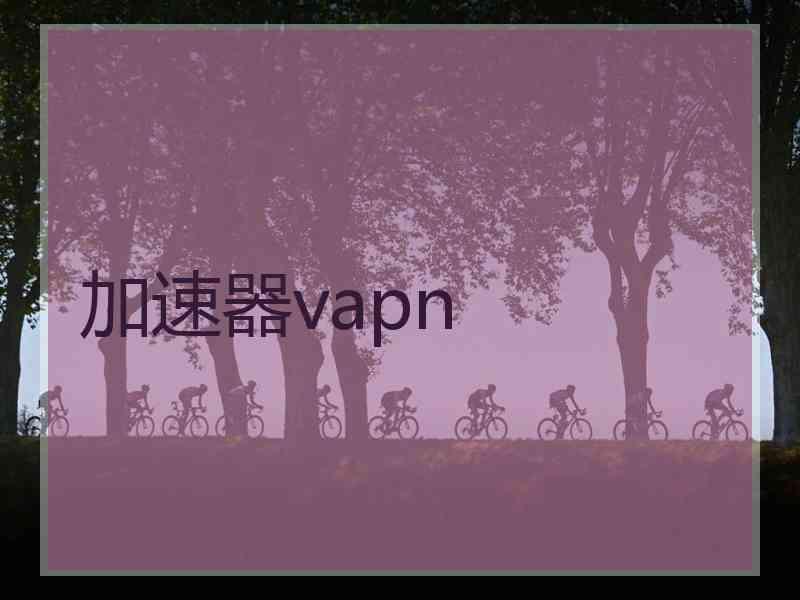 加速器vapn