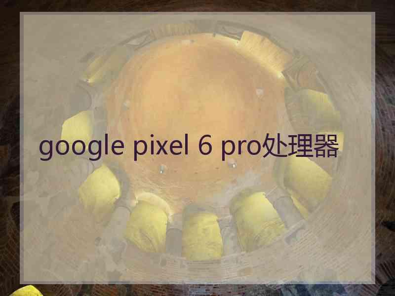 google pixel 6 pro处理器