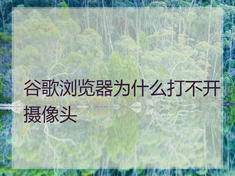 谷歌浏览器为什么打不开摄像头