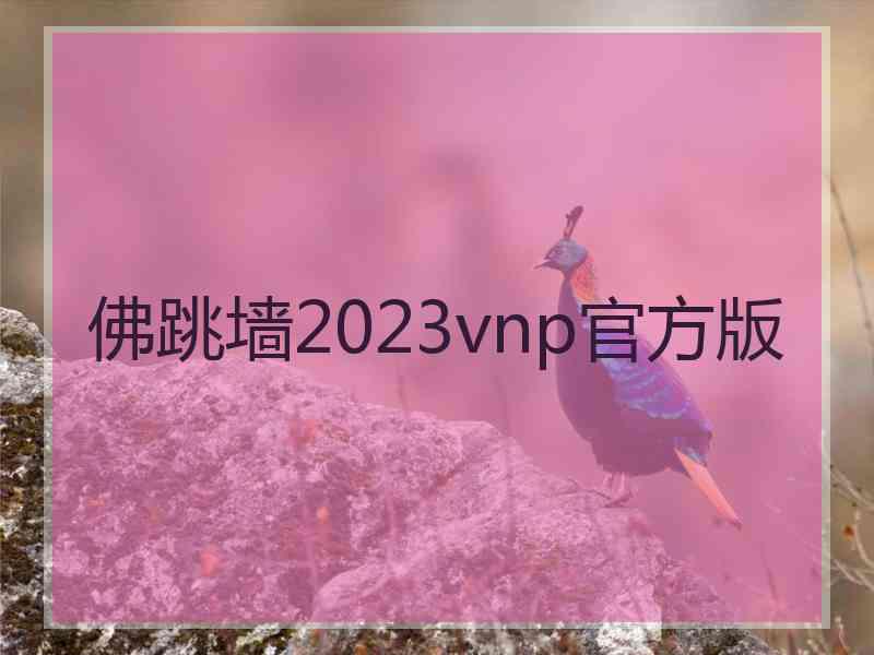 佛跳墙2023vnp官方版