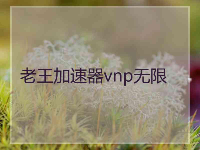 老王加速器vnp无限