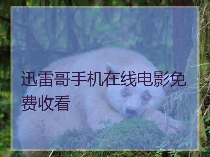 迅雷哥手机在线电影免费收看