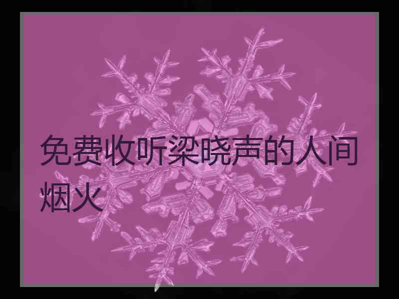 免费收听梁晓声的人间烟火