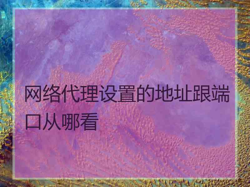 网络代理设置的地址跟端口从哪看