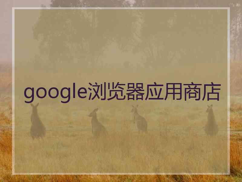 google浏览器应用商店