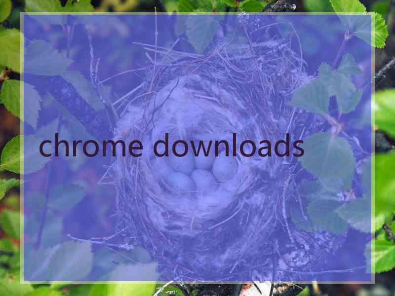 chrome downloads