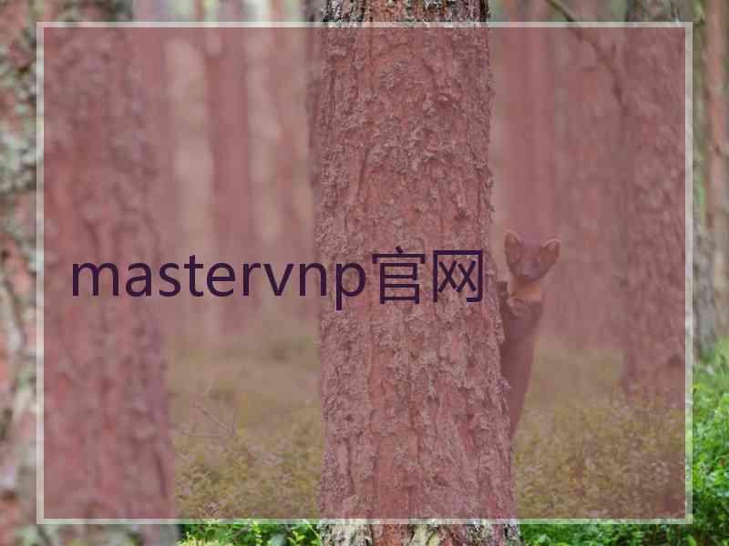 mastervnp官网