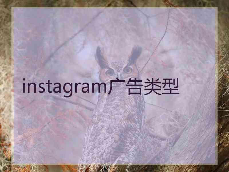 instagram广告类型