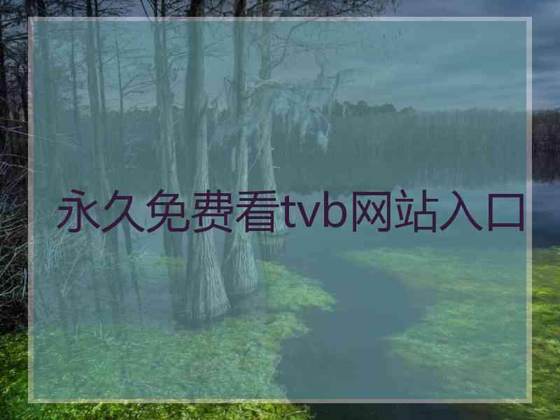 永久免费看tvb网站入口