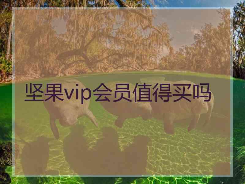 坚果vip会员值得买吗