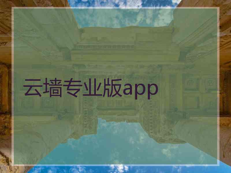 云墙专业版app