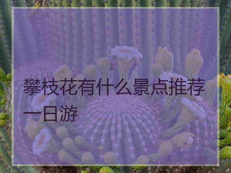 攀枝花有什么景点推荐一日游