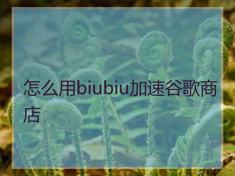 怎么用biubiu加速谷歌商店