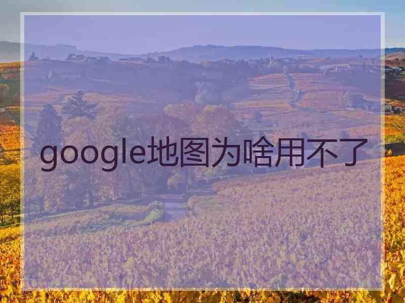 google地图为啥用不了