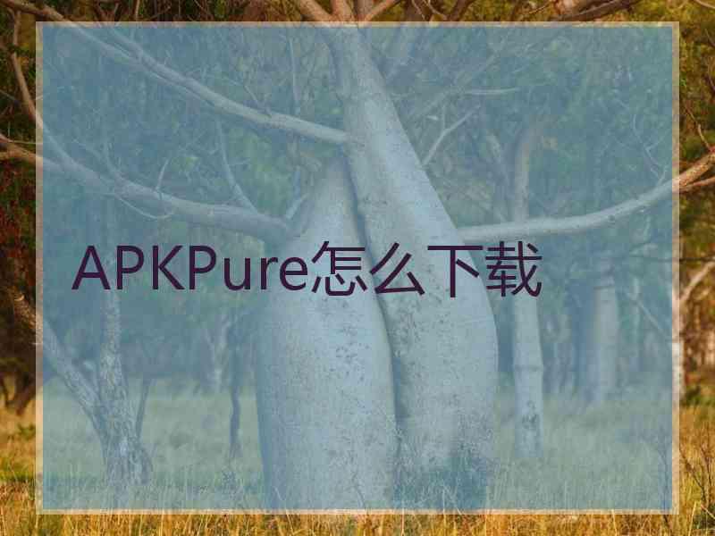 APKPure怎么下载