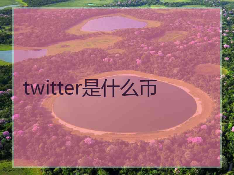 twitter是什么币