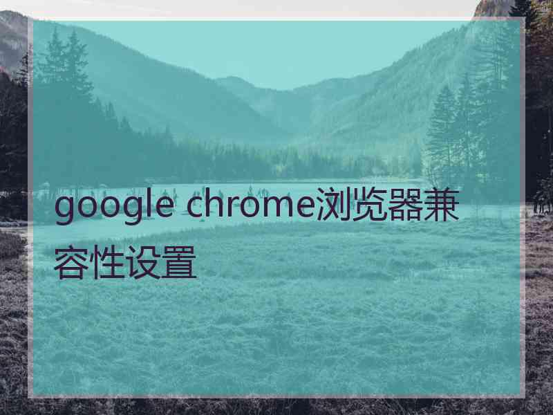 google chrome浏览器兼容性设置