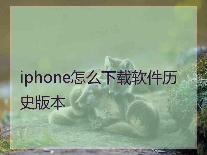 iphone怎么下载软件历史版本