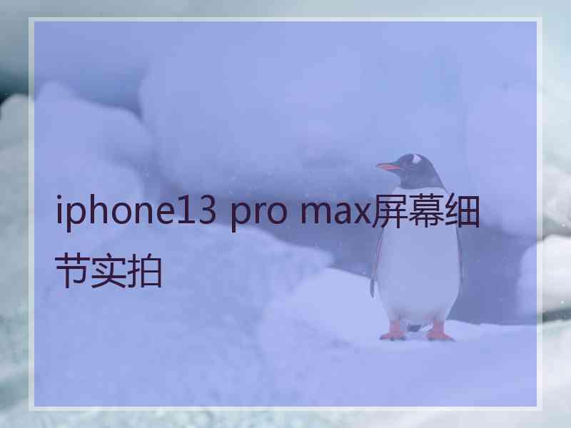 iphone13 pro max屏幕细节实拍