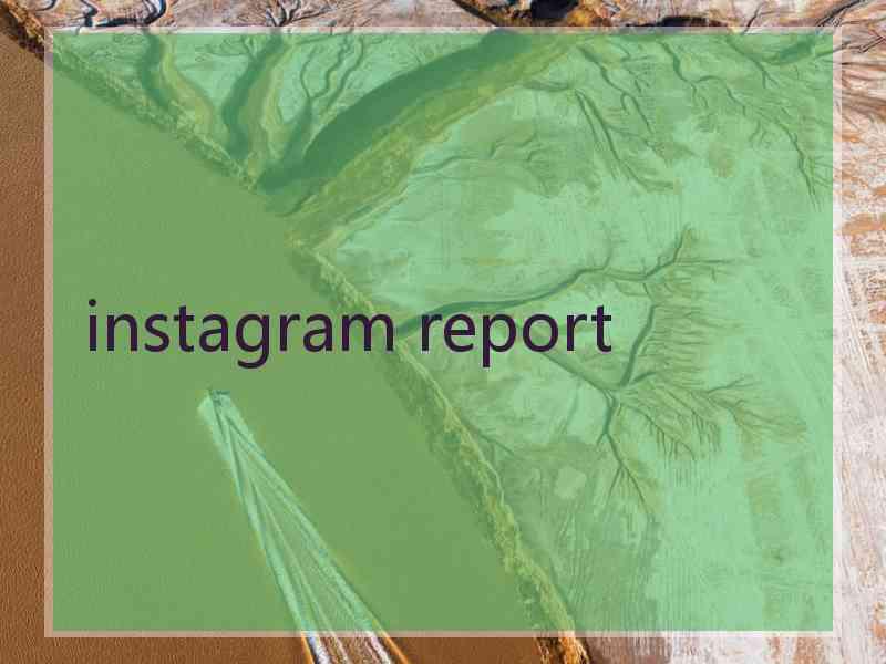 instagram report