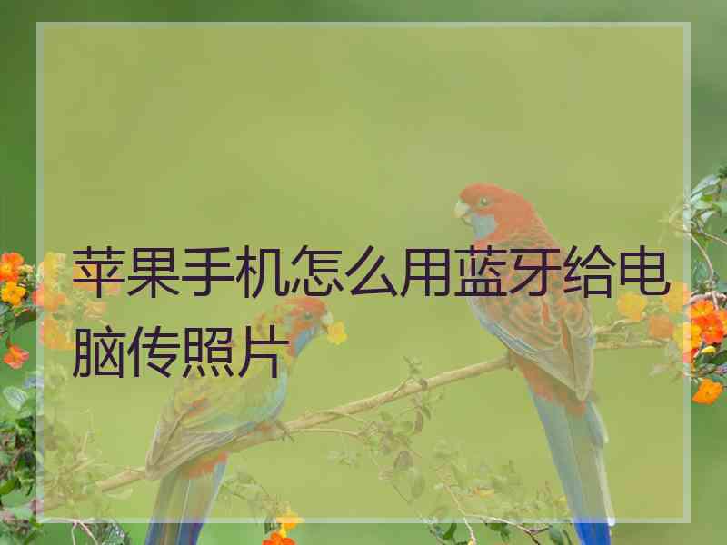 苹果手机怎么用蓝牙给电脑传照片