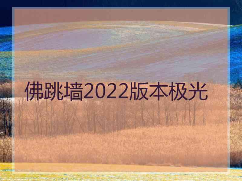 佛跳墙2022版本极光