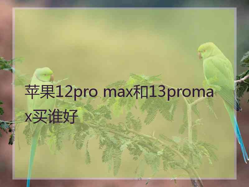 苹果12pro max和13promax买谁好