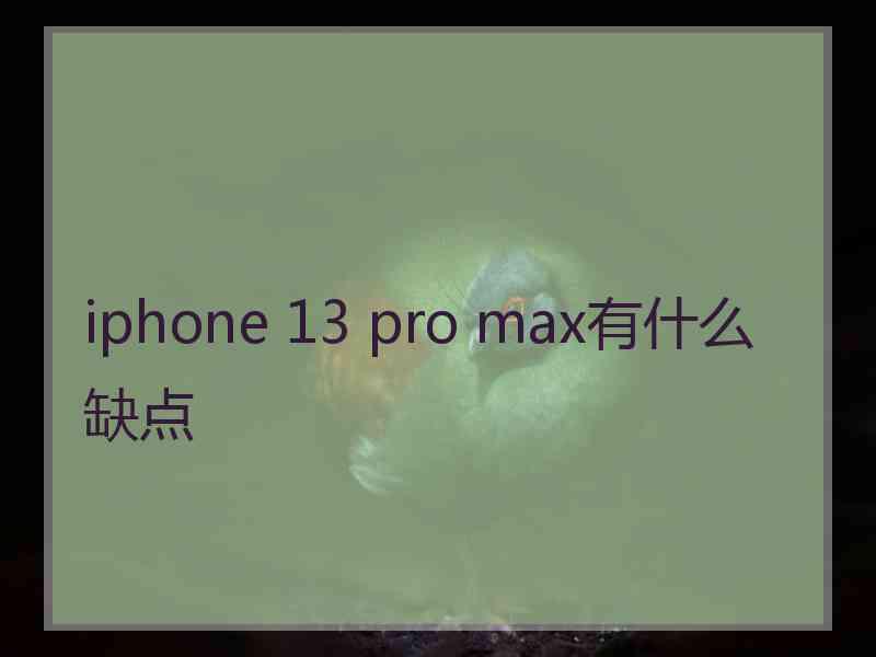 iphone 13 pro max有什么缺点