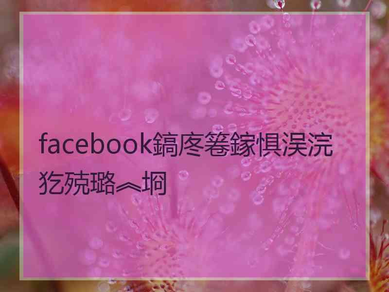 facebook鎬庝箞鎵惧洖浣犵殑璐︽埛