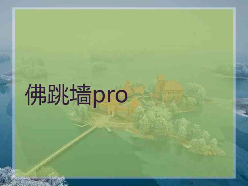 佛跳墙pro