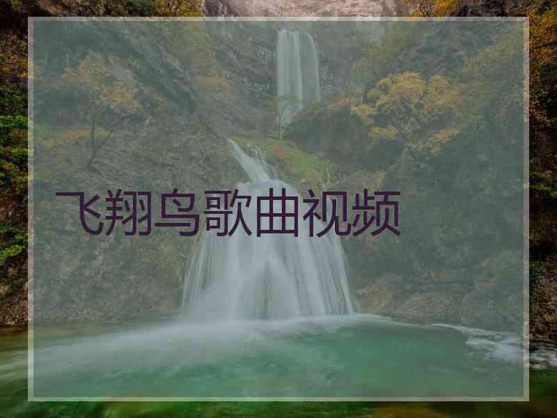 飞翔鸟歌曲视频